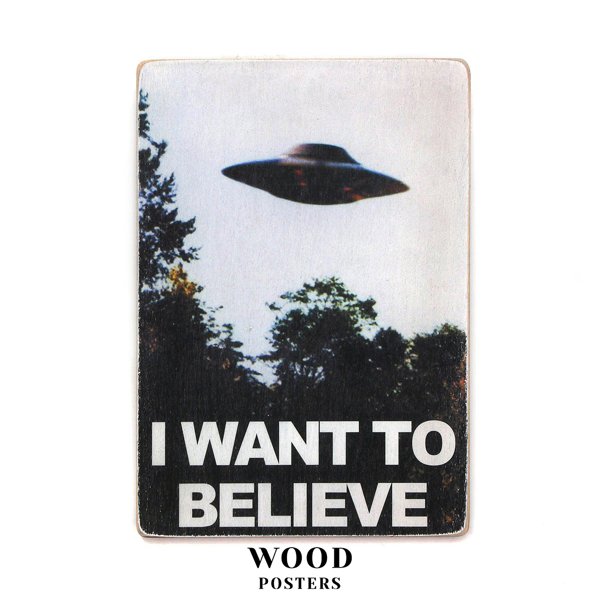 The X-Files. I want to believe